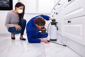 Best Fumigation Services  in West Babylon, NY